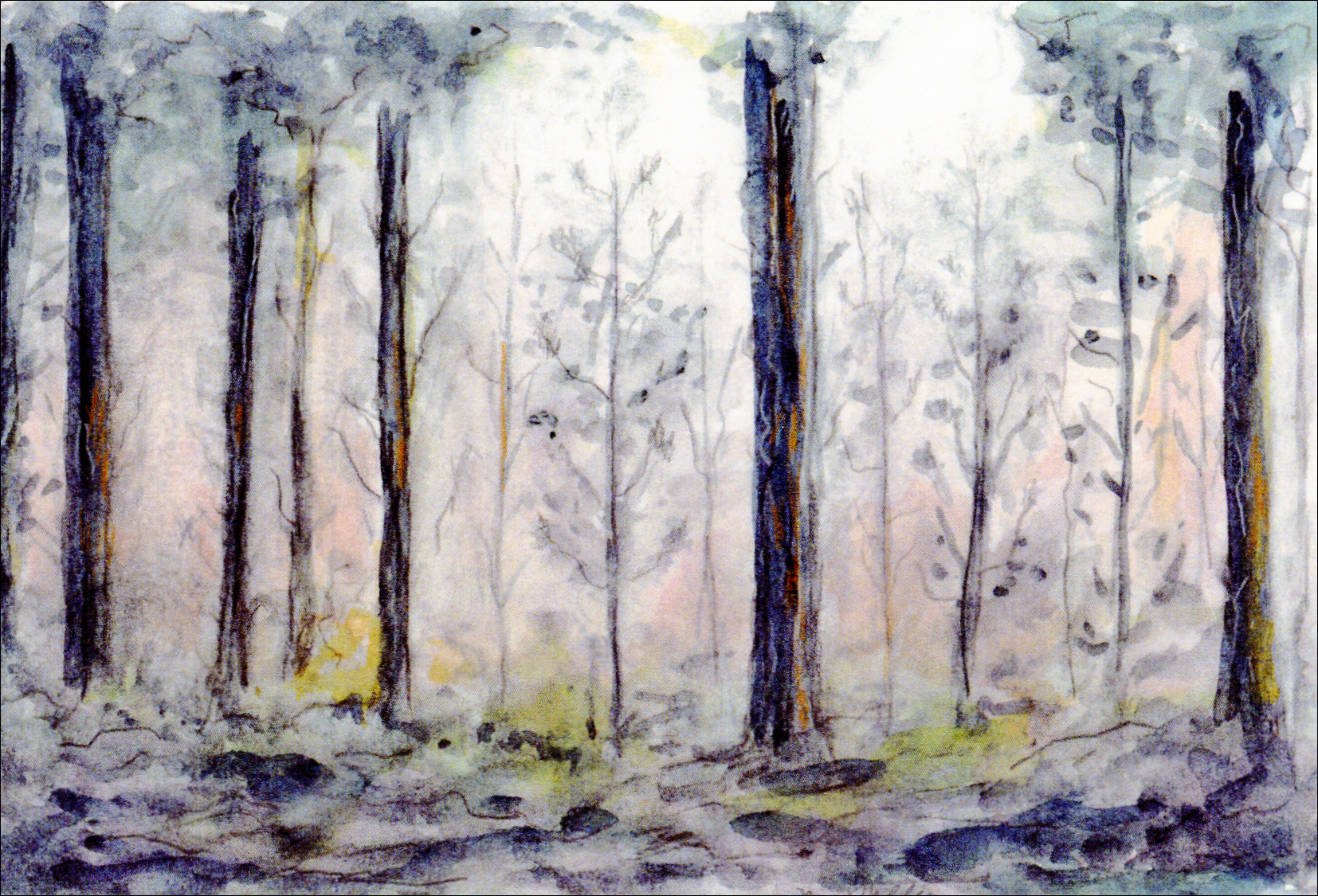 Forest