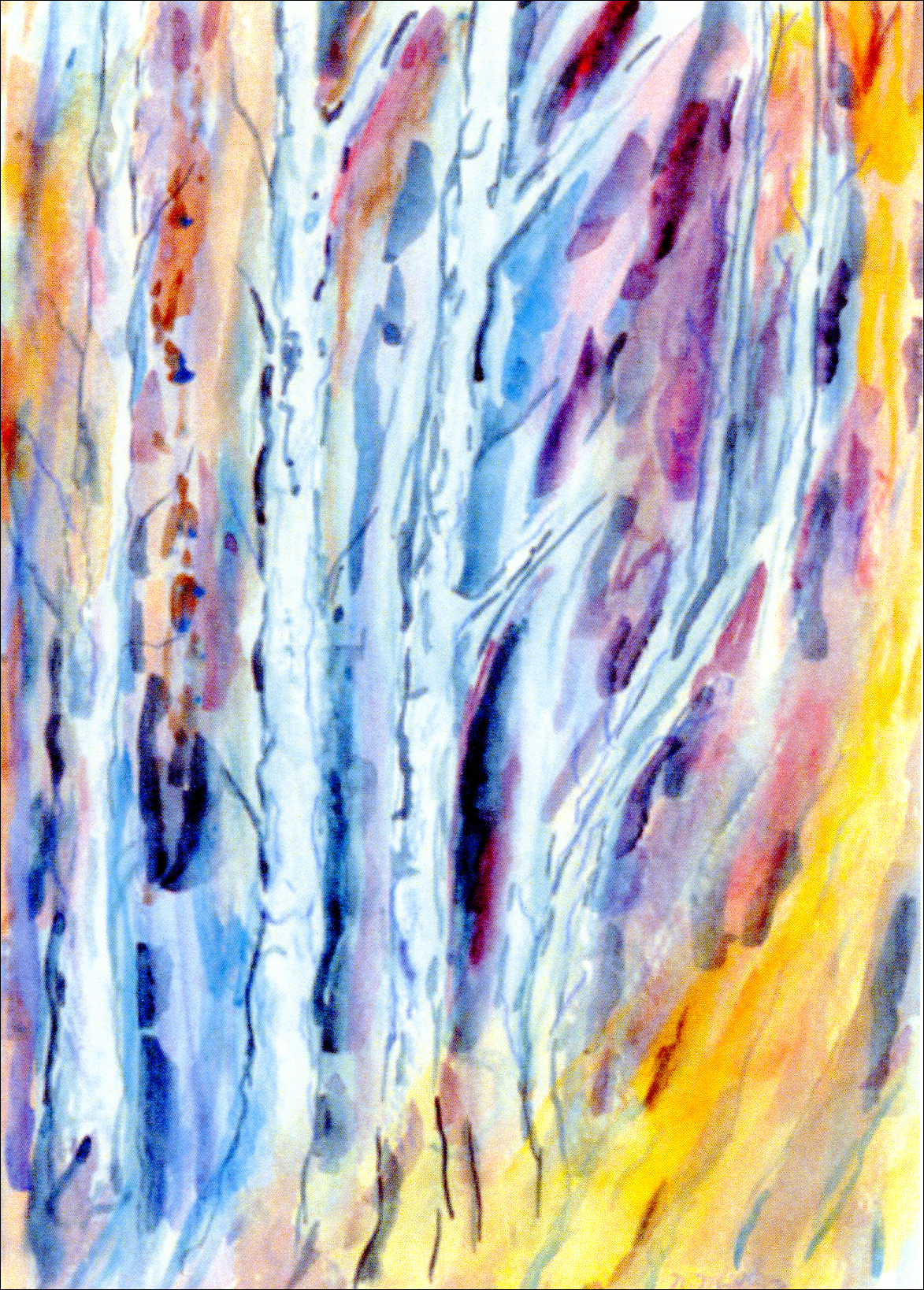 Magic Forest