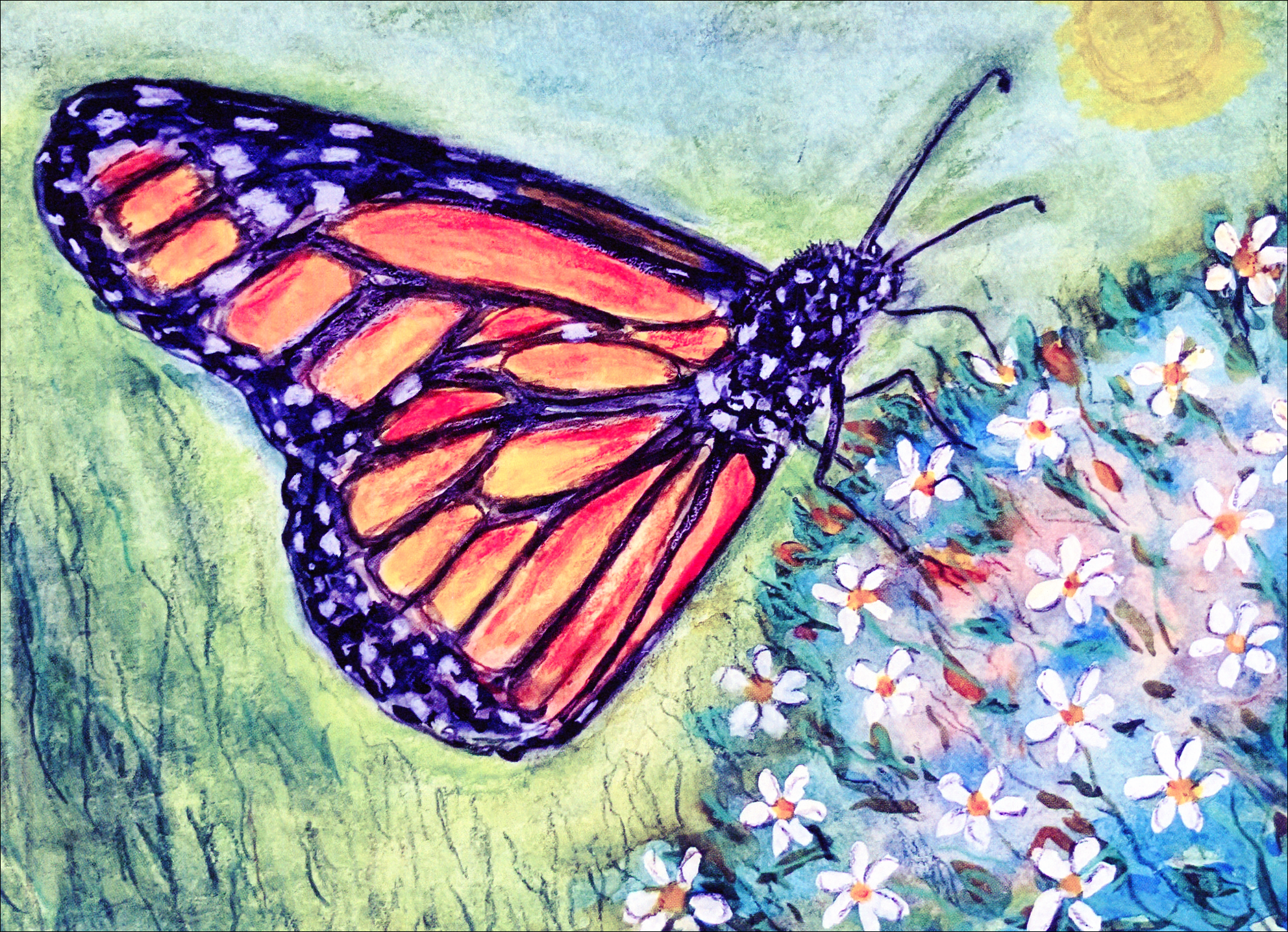 Monarch Butterfly