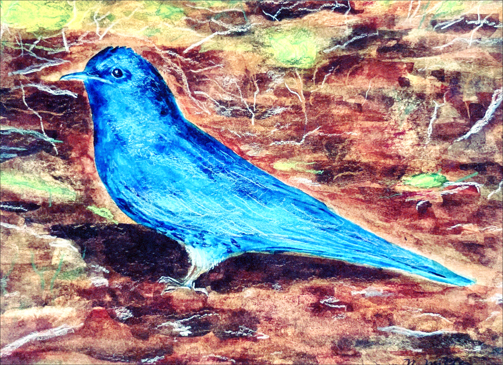 Purple Martin