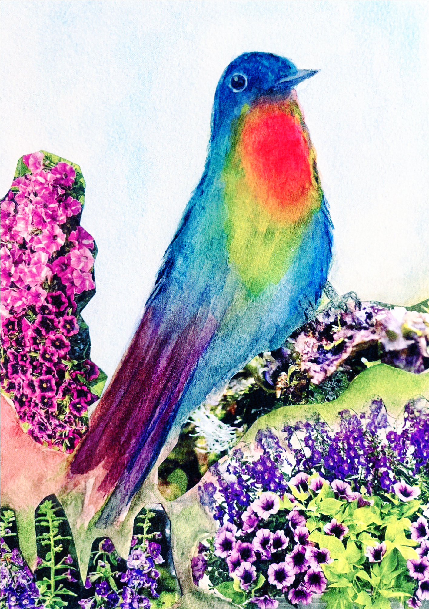 Red Throated Hummingbird