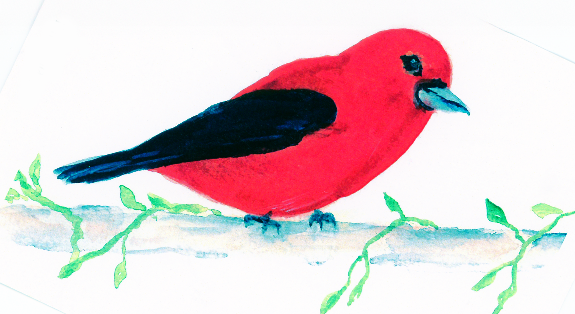 Scarlet Tanger