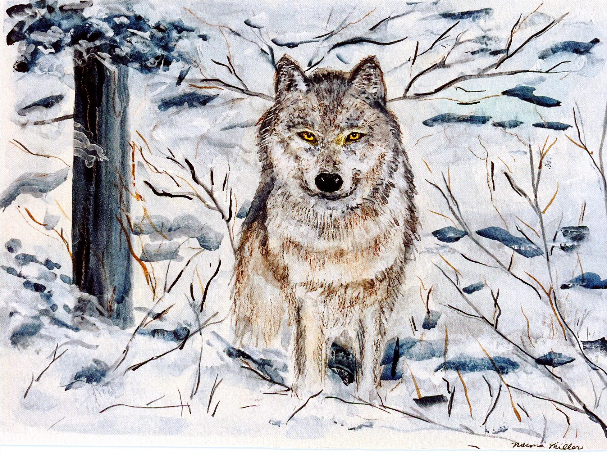 Wolf
